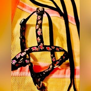 XS Adjustable Harness with Roses and Matching Leash
